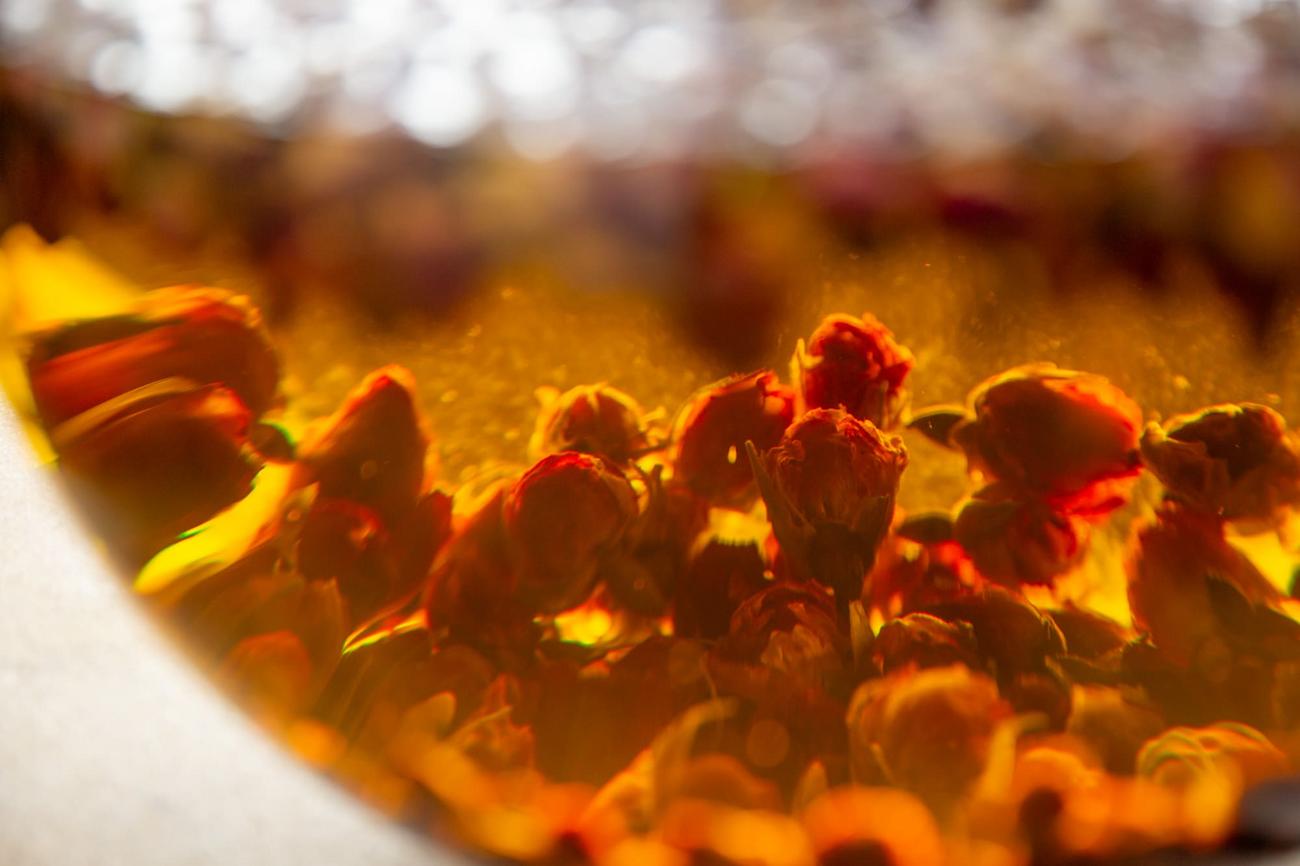 files/lab-love-flowers-in-oil.jpg