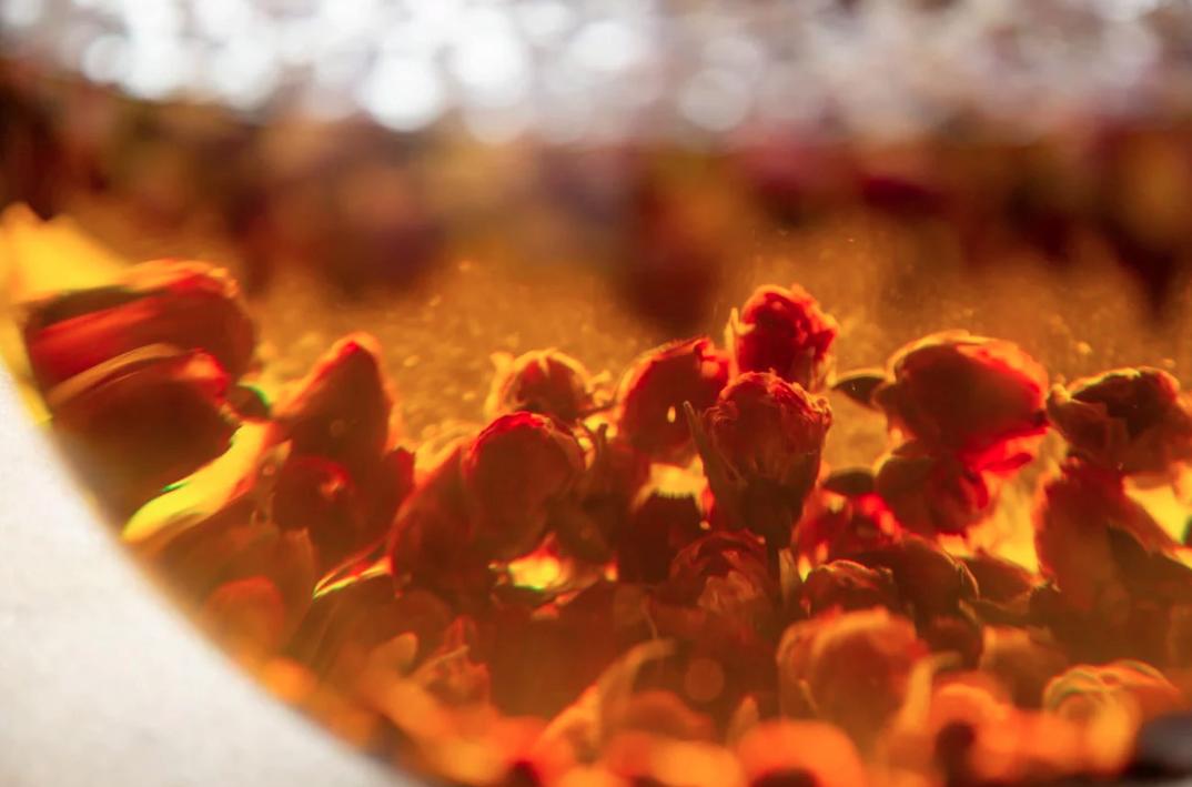 Amanda Winwood, Made for Life Organics